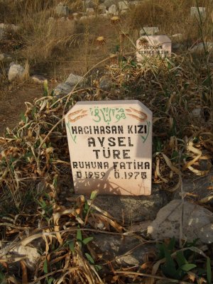 This stone has the same name in the other photo.  A 16-yr-old girl died in 1975.  Someone must still care for her grave.