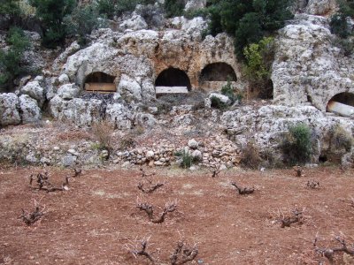 Tombs and grapefines