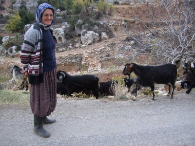 Goat herder with her goats
