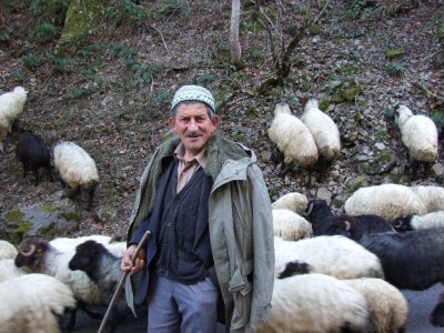 Shepherd with his flock