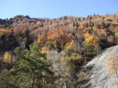 As we went higher, fall colors became more brilliant, which could only mean one thing...