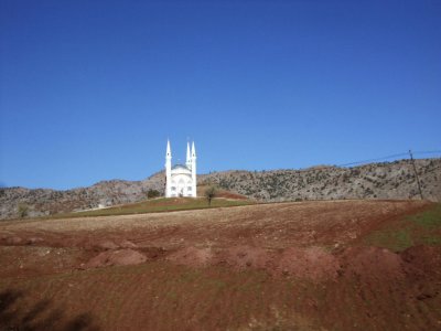 A lone mosque in the country.