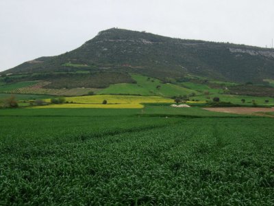 Farmlands in the hills.  The yellow fields are mustard flowers