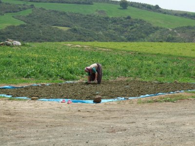 Lady spreading out something to dry