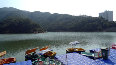 P1020790.jpg