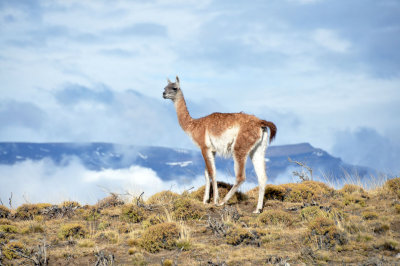 Torres del Paine, Chile