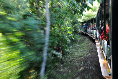 g3/89/80289/3/124242711.YKl9VJoA.jpg