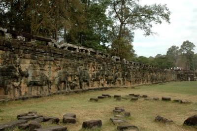 ELEPHANT TERRACE