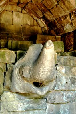 fountain head - the elephant