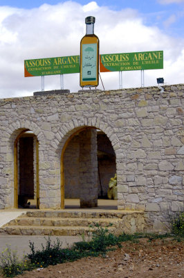 an Argan oil co-operative