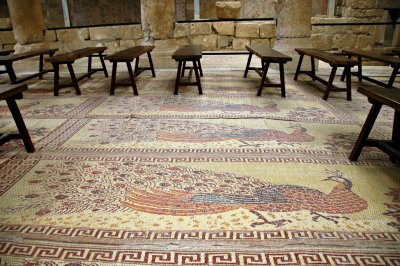 the fine floor dated to yr 562, with hunting and pastoral scenes, fish and birds, inserted into a striking geometric composition