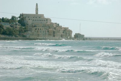 DSC_2827.jpg