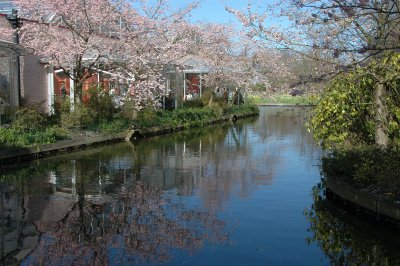 Japanese Garden