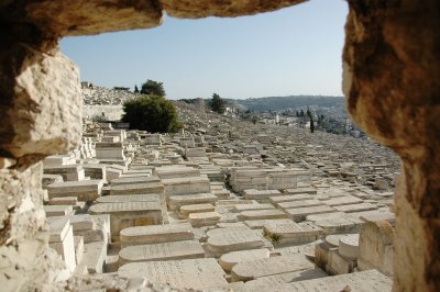 DSC_1279.jpg