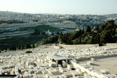 DSC_1328.jpg