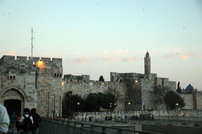 DSC_1656.jpg