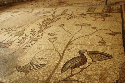 in the 1932 excavations uncovered some beautiful mosaic floors