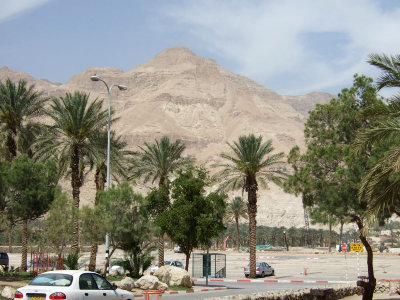 DSCF4300.jpg