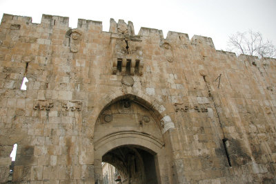 can you see the lions on the wall?
