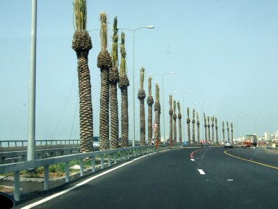 DSCF4365.jpg