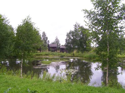 saunas