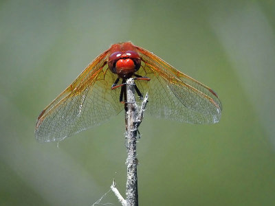 g3/89/829189/3/122588077.yxyHcJ0a.jpg