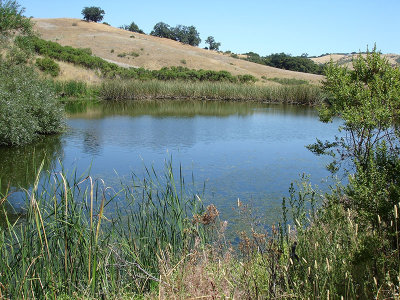 Monte Bello MB05 Pond