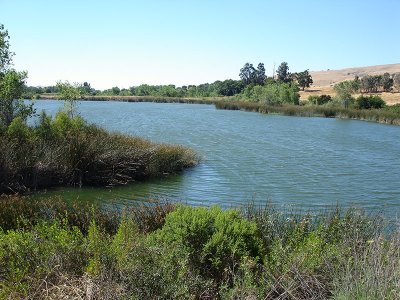 Ogier Ponds 