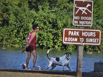 no dogs allowed in water at Oka Ponds