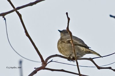 g3/89/863789/3/120354949.kqBgAI0m.jpg