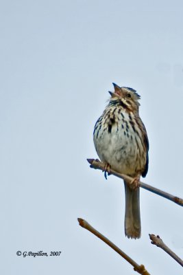 g3/89/863789/3/121024621.ZrlENpL6.jpg