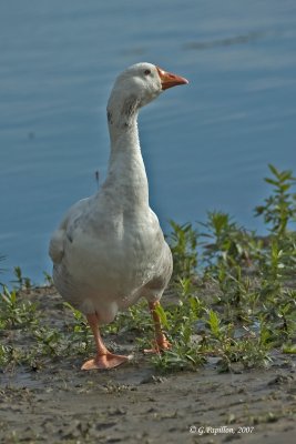 g3/89/863789/3/121821397.iG4NDvIc.jpg