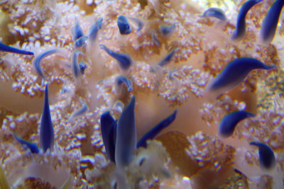 g3/89/865489/3/123050657.AWIOOqFW.jpg