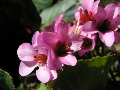 P1010003.JPG