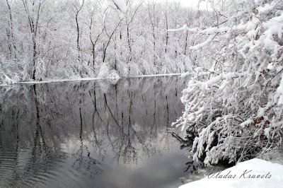PICT2195.jpg