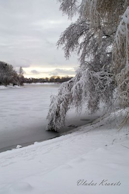 after the storm.jpg