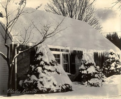 Winter day.jpg