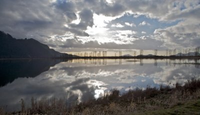 g3/89/952589/3/124796971.ARmNDl4M.jpg