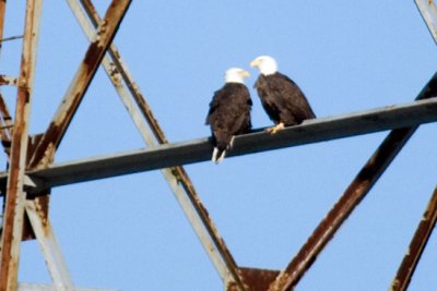 Conowingo Dam December 27th 2009