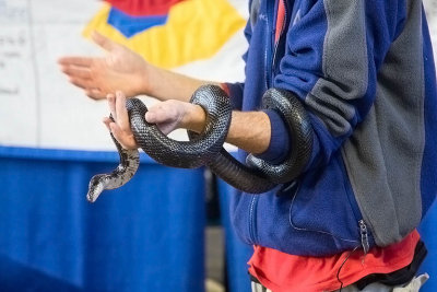 2010 Harrisburg Farm Show