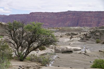 Parque Provincial Ischigualasto