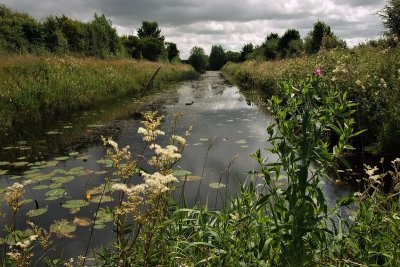 Mountmellick Branch, near Monasterevin