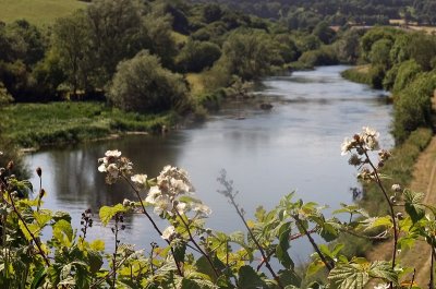 Upriver from Ballytiglea Bridge