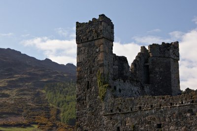 Dominican Friary, Carlingford