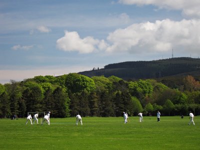 Cricket in Marlay Park
