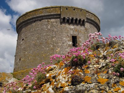 Martello Tower, Ireland's Eye