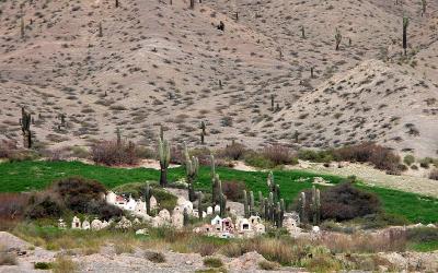 Quebrada del Toro - Cemetery