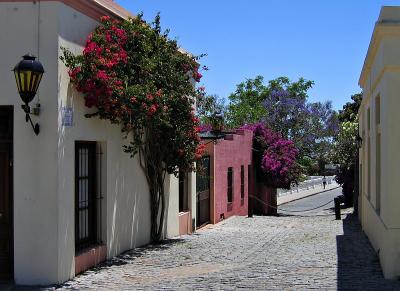  Colonia - Street of Flowers