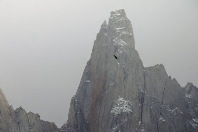 Cerro Poincenot with condor