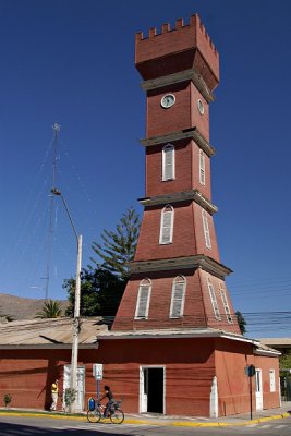 Vicua - Torre Bauer